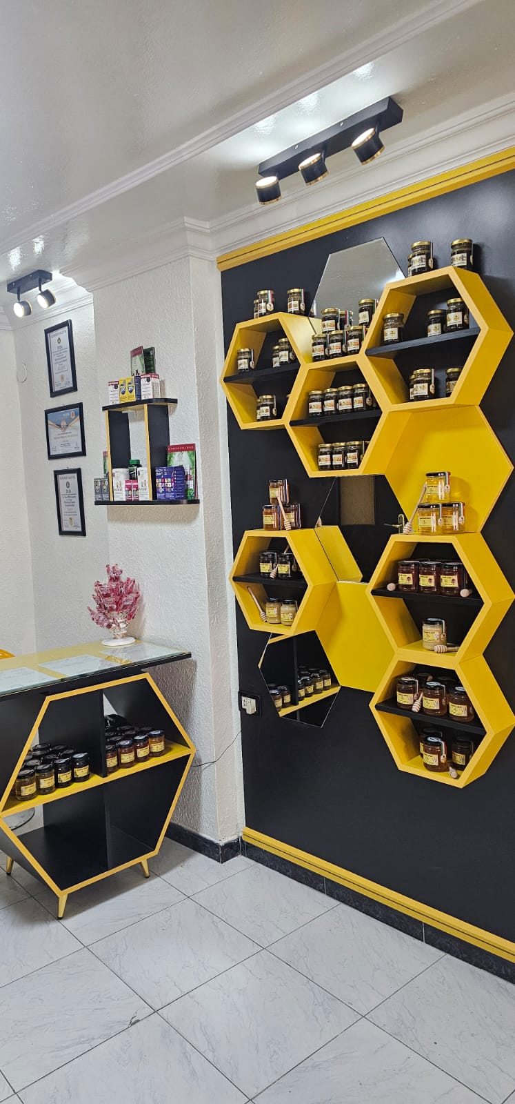 ركن الشهادات والتكريمات في صالة الهنغاري