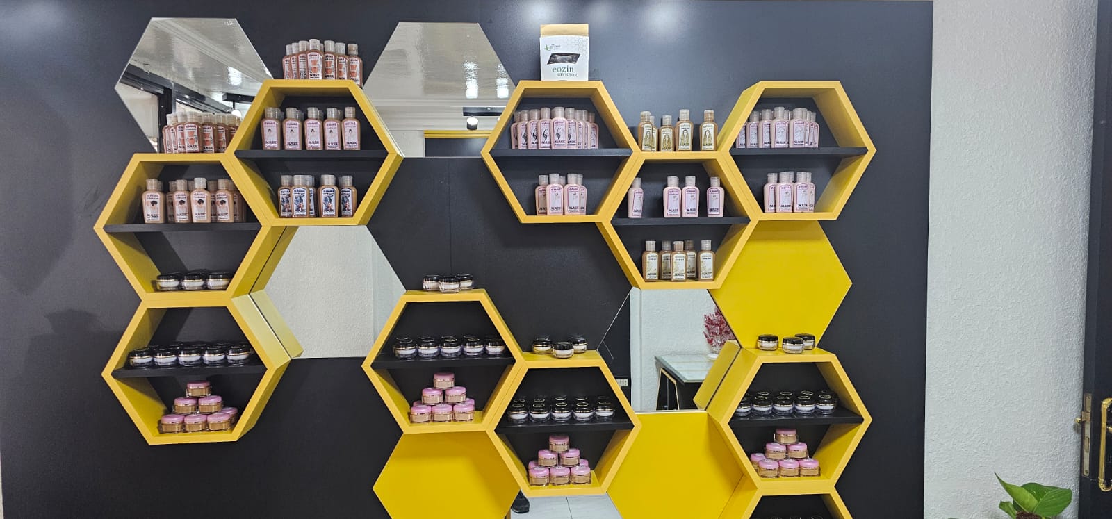 ركن الماسكات الطبيعية في صالة العرض